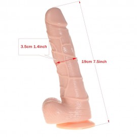 7.5 inches realistic dildo, Waterproof Flexible fake penis with textured shaft and strong suction cup Sex product for women